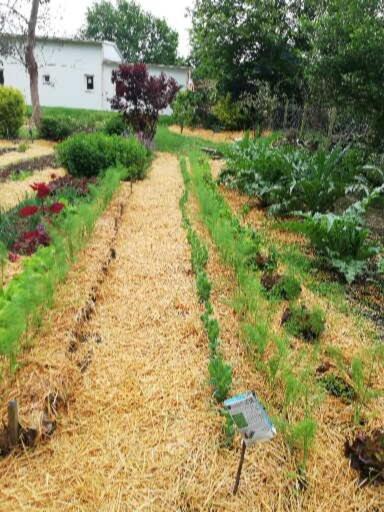 Au Coeur Du Jardin Villa La Boussac Luaran gambar