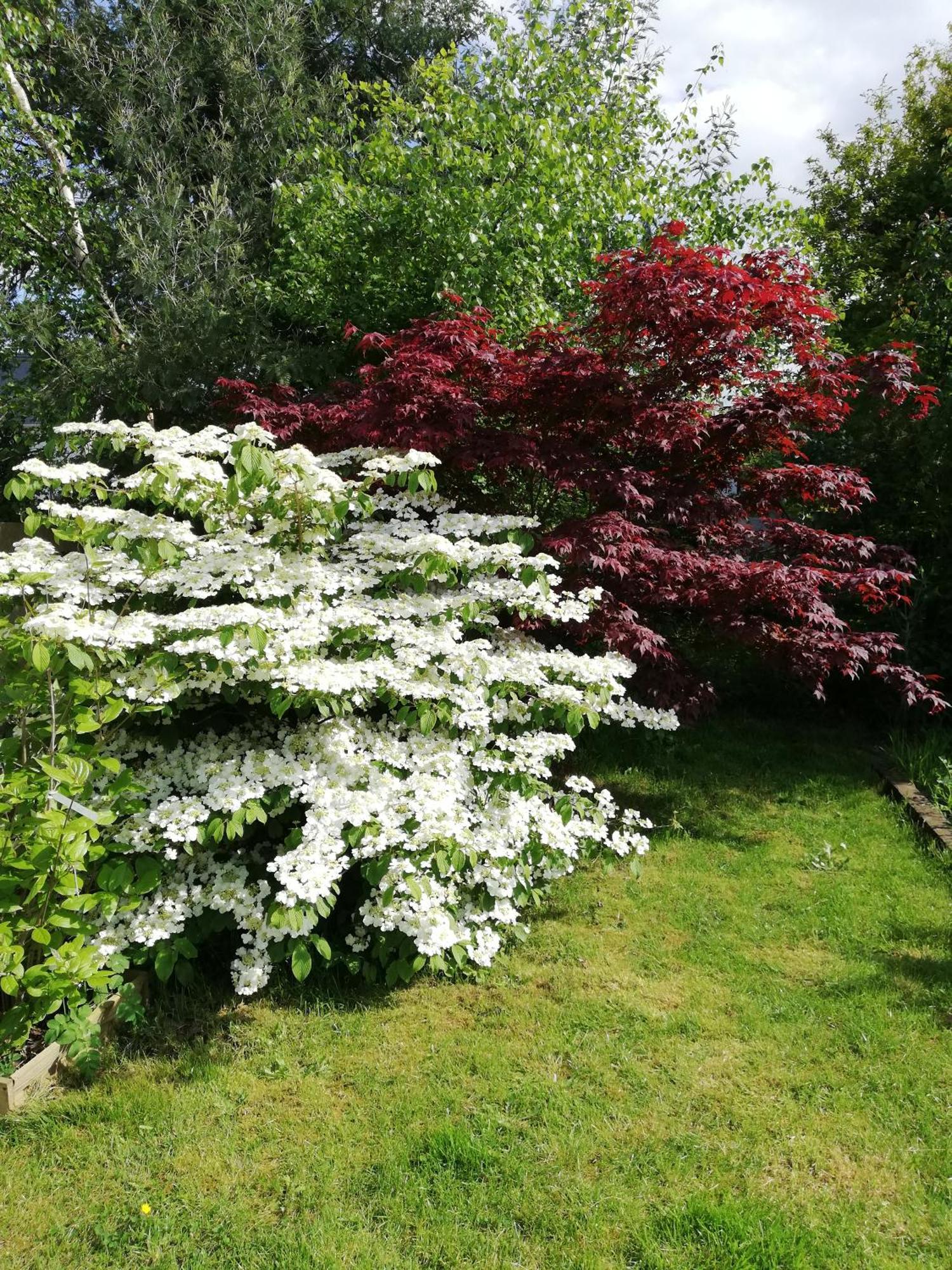 Au Coeur Du Jardin Villa La Boussac Luaran gambar
